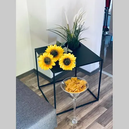 Vikendica Sunny Side Holiday home Rakovac